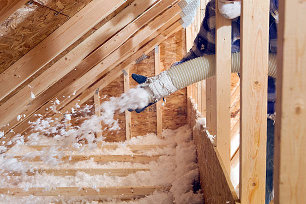 Best Spray Foam Insulation  in Rexburg, ID